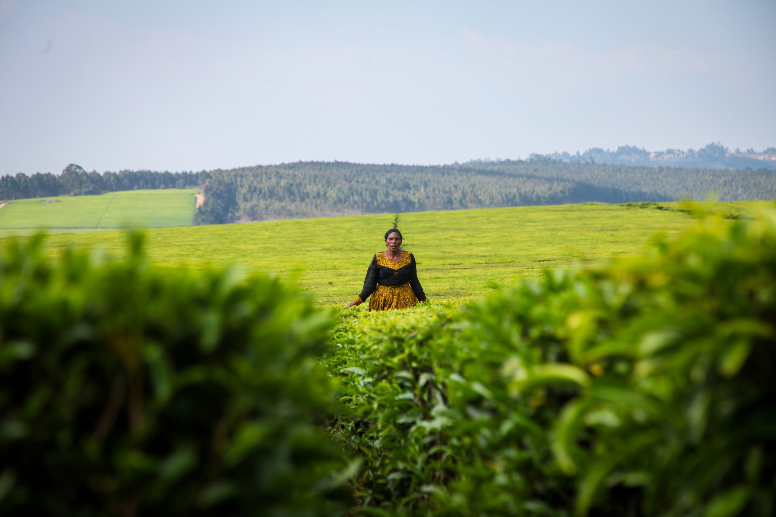 Why Climate Finance Should Be Gender Smart British International